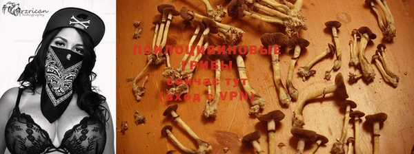 сатива Алексин